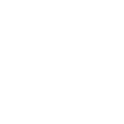 Logo De Jong Holistische Psychologie