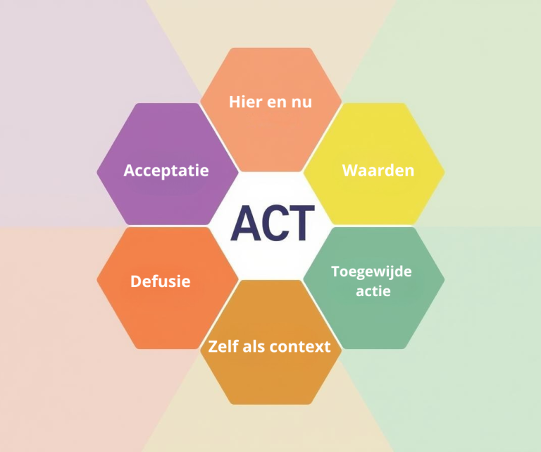 ACT bij De Jong Holistische Psychologie